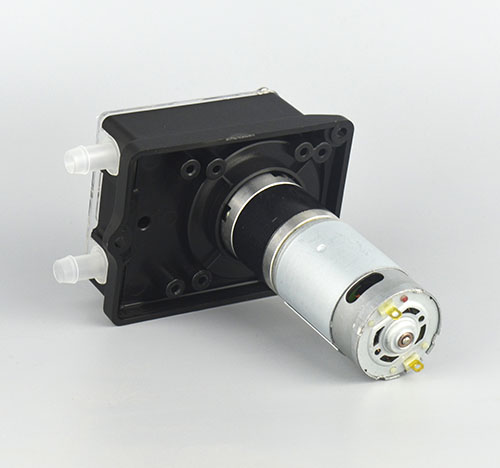 K25大香蕉精品