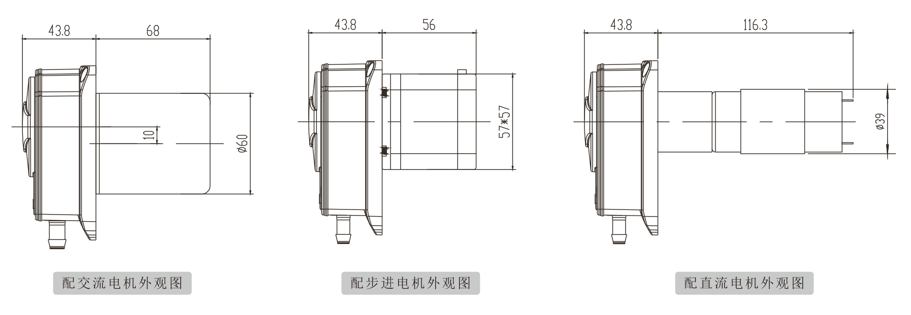 K25大香蕉精品